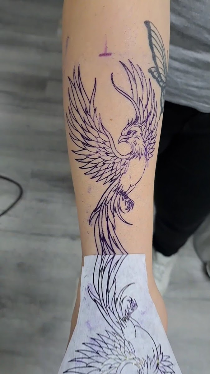 Calco violeta de un ave con las alas abiertas transferido sobre la piel, con el papel del calco apoyado debajo mostrando el mismo dibujo.